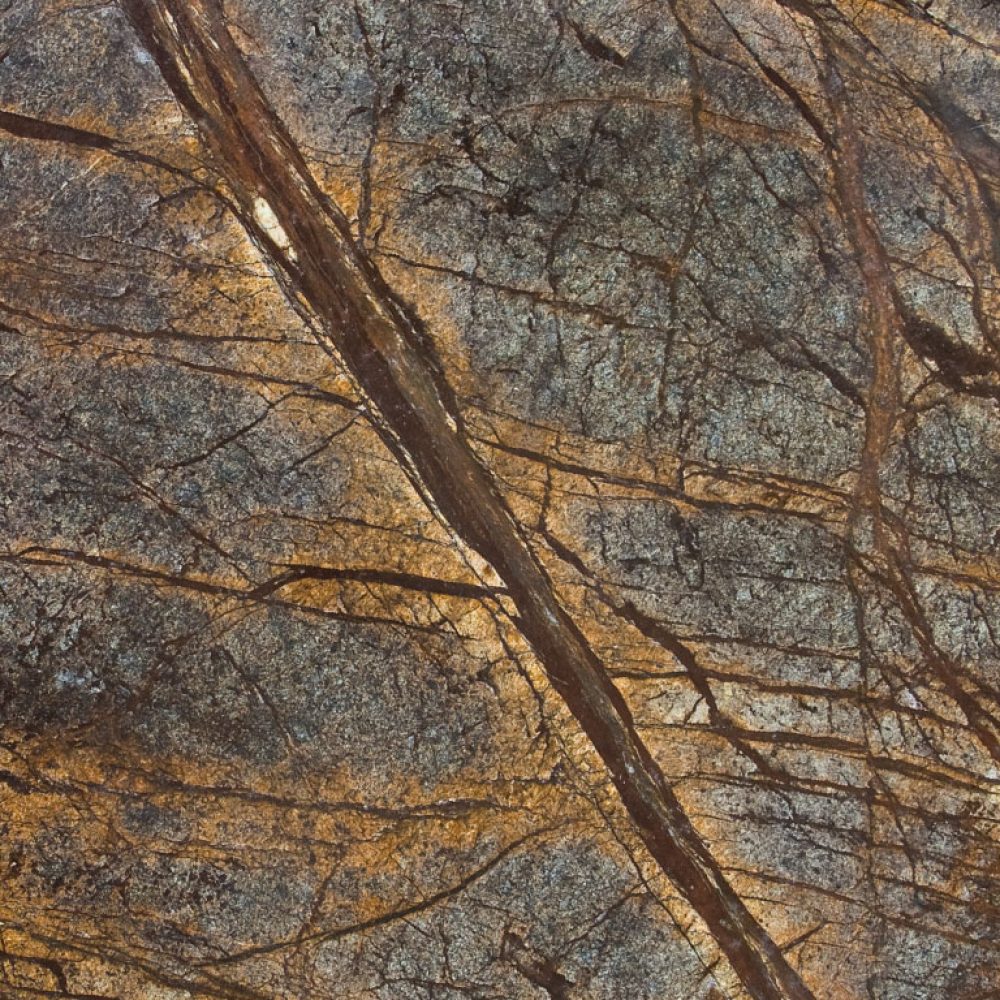 forest brown