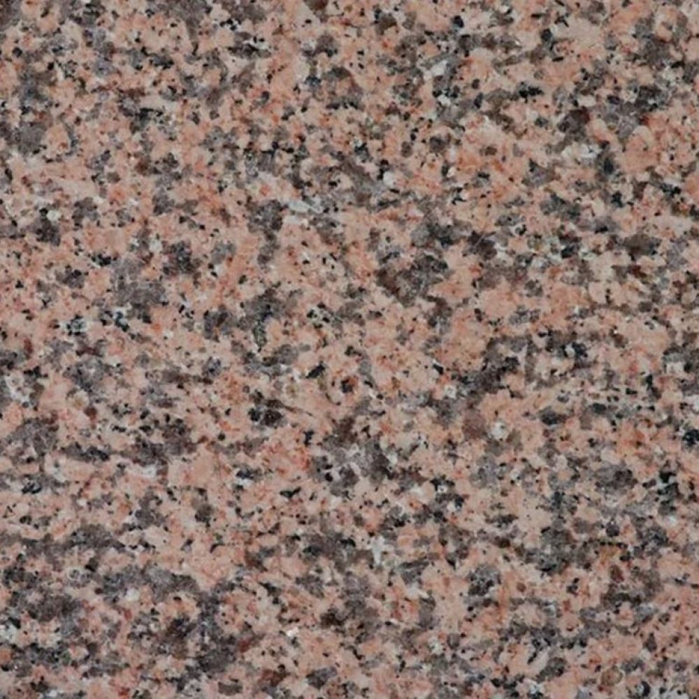 rosa porrino